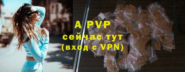 индика Балахна