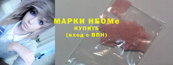 индика Балахна