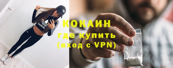 индика Балахна
