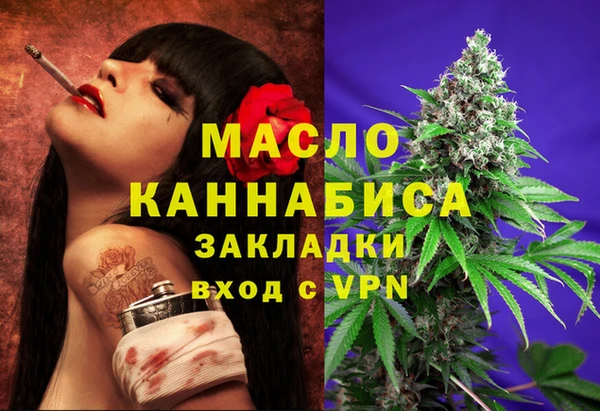 индика Балахна