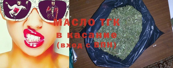 МДПВ Вяземский