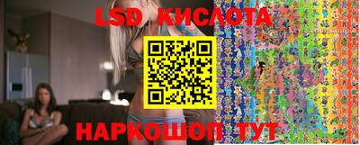 шишки Волгодонск