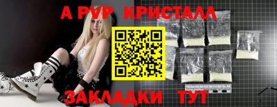 шишки Будённовск