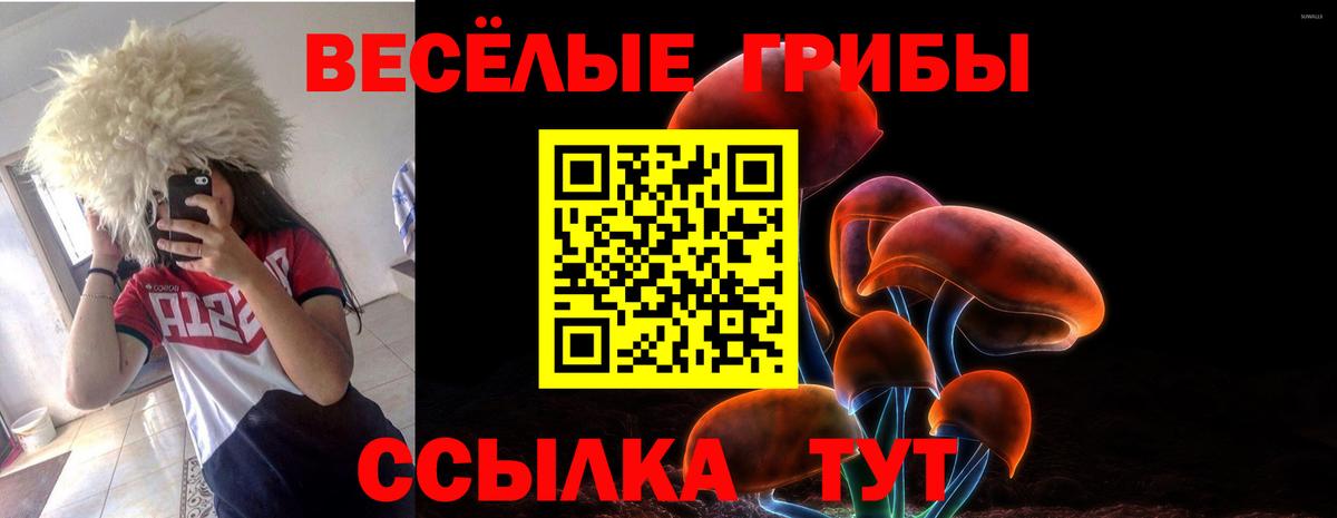 где купить наркотик  Вход с VPN  Воркута  Галлюциногенные грибы мухоморы 