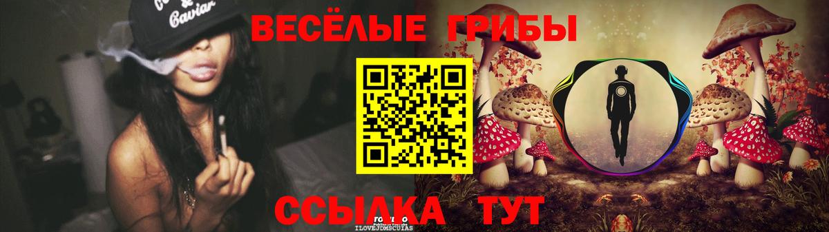 как найти   Воркута  Галлюциногенные грибы Cubensis 