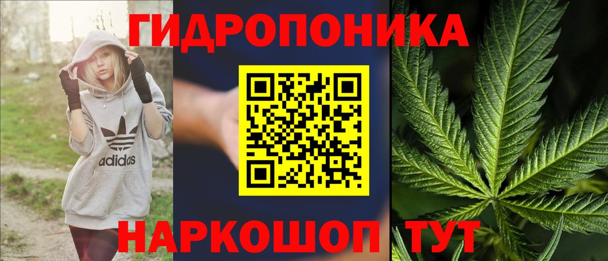 Бошки марихуана индика Воркута